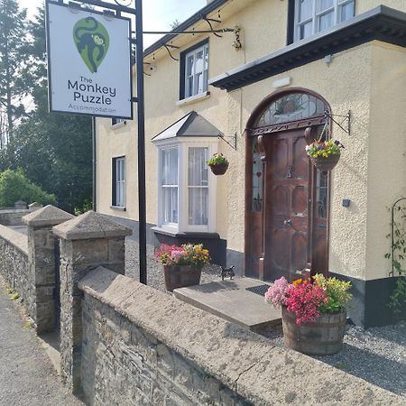 ホテル The Monkey Puzzle バンクロディー エクステリア 写真